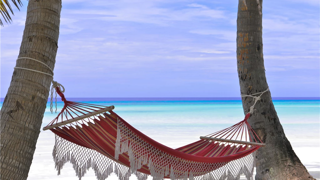 Idyllic beach hammock between coconut trees with azure blue waters.